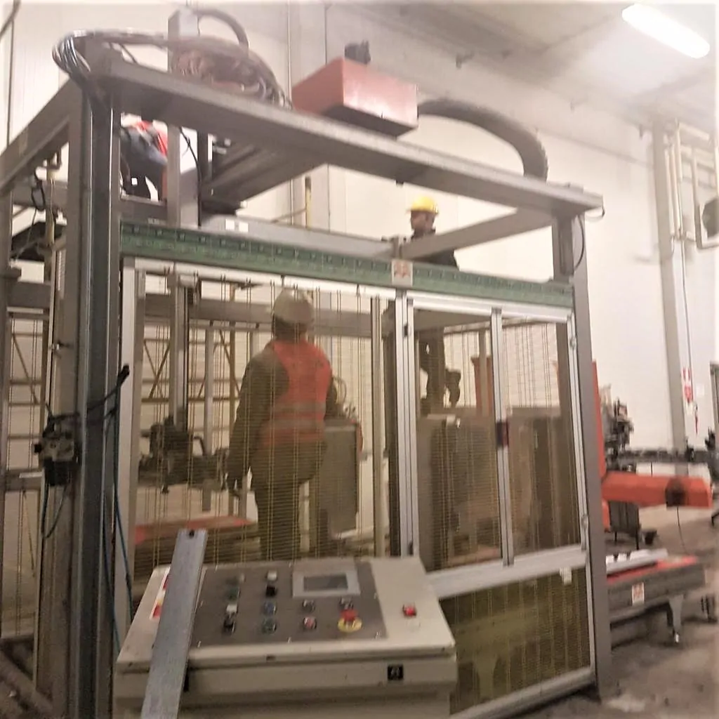 Palletizzatore TMG PawerPag usato — TMG PawerPaq