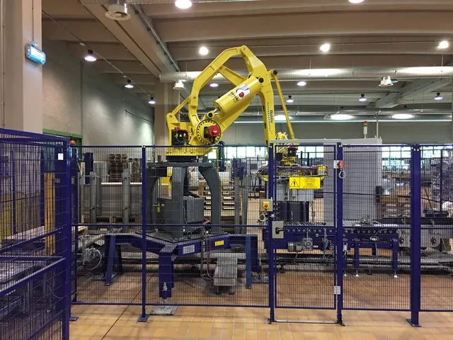 Palletizzatore Berchi Robot usato — Berchi